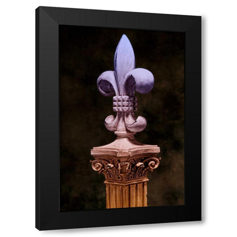 Fleur de Lis III Black Modern Wood Framed Art Print with Double Matting by McNemar, C. Thomas