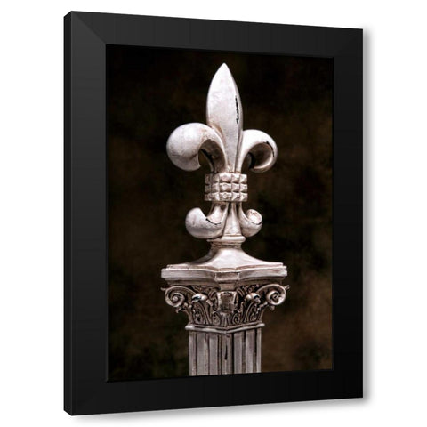 Fleur de Lis IV Black Modern Wood Framed Art Print with Double Matting by McNemar, C. Thomas
