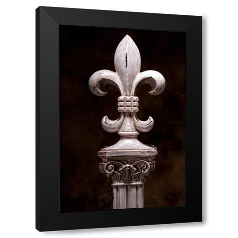 Fleur de Lis V Black Modern Wood Framed Art Print with Double Matting by McNemar, C. Thomas