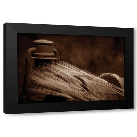 Still Life With Wheat I Black Modern Wood Framed Art Print with Double Matting by McNemar, C. Thomas