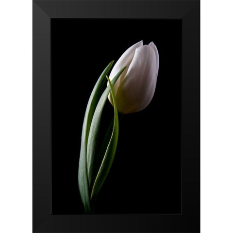 Tulips III Black Modern Wood Framed Art Print by McNemar, C. Thomas