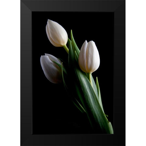 Tulips IV Black Modern Wood Framed Art Print by McNemar, C. Thomas