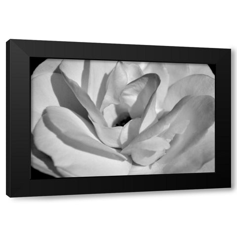 Macro Flower I Black Modern Wood Framed Art Print by Moore, Brian