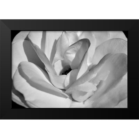 Macro Flower I Black Modern Wood Framed Art Print by Moore, Brian