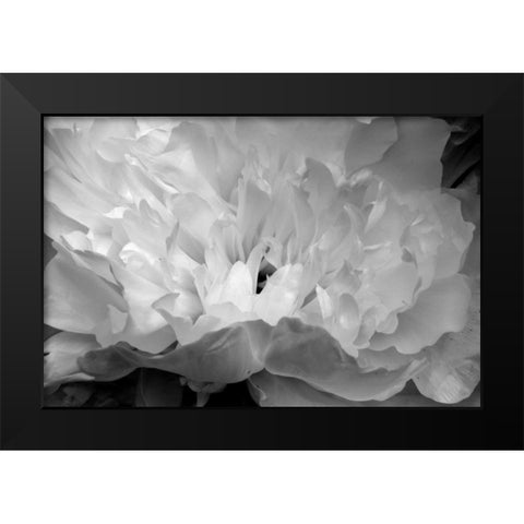 Macro Flower II Black Modern Wood Framed Art Print by Moore, Brian