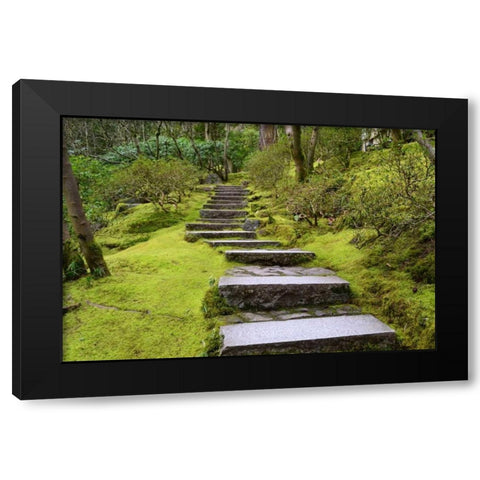 Steps II Black Modern Wood Framed Art Print with Double Matting by Moore, Brian