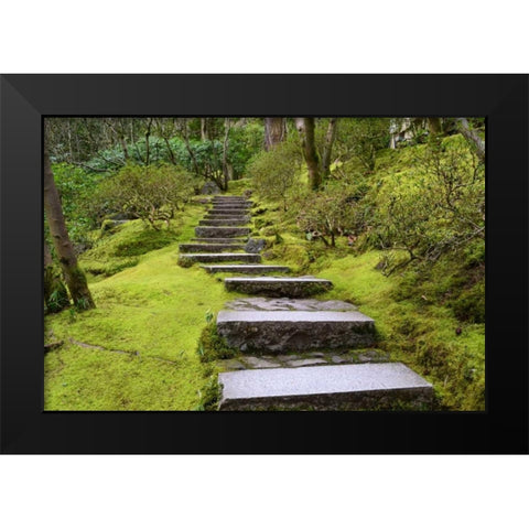 Steps II Black Modern Wood Framed Art Print by Moore, Brian