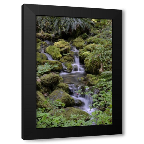 Japanese Gardens II Black Modern Wood Framed Art Print with Double Matting by Moore, Brian