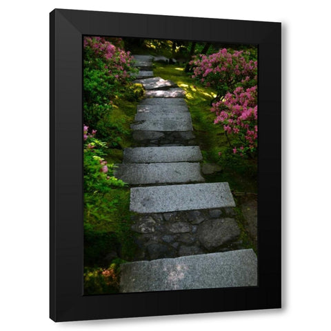 Garden Stairs I Black Modern Wood Framed Art Print with Double Matting by Moore, Brian