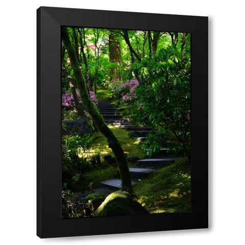 Garden Stairs II Black Modern Wood Framed Art Print with Double Matting by Moore, Brian
