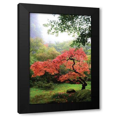Japanese Gardens IV Black Modern Wood Framed Art Print with Double Matting by Moore, Brian