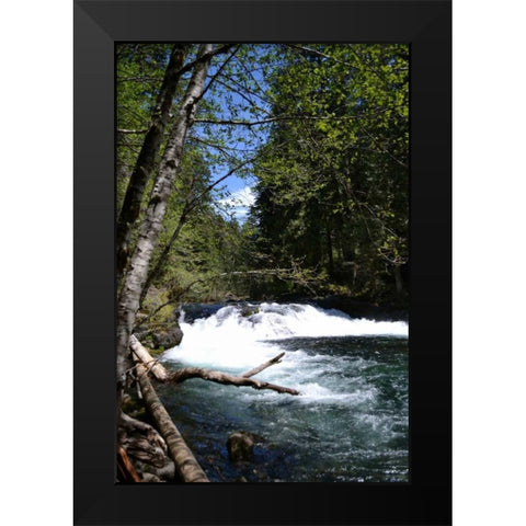 Rapids II Black Modern Wood Framed Art Print by Moore, Brian