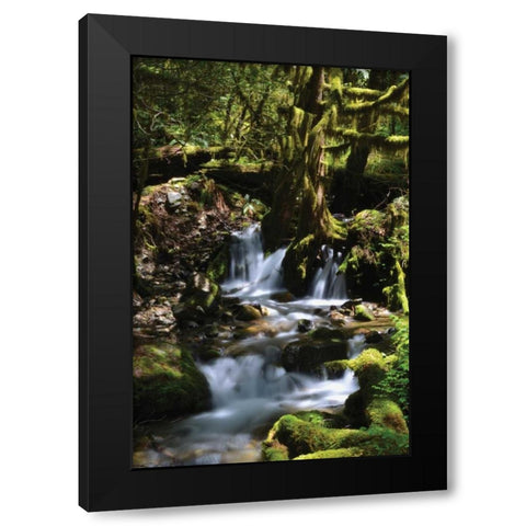 Falls in the Forest I Black Modern Wood Framed Art Print with Double Matting by Moore, Brian