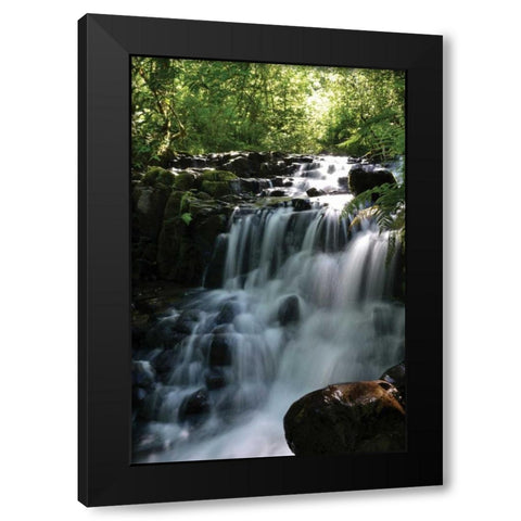 Falls in the Forest II Black Modern Wood Framed Art Print with Double Matting by Moore, Brian