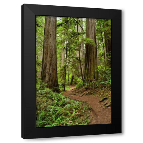 Hiking Trail I Black Modern Wood Framed Art Print with Double Matting by Moore, Brian