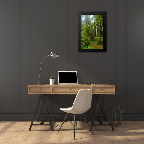 Hiking Trail II Black Modern Wood Framed Art Print by Moore, Brian