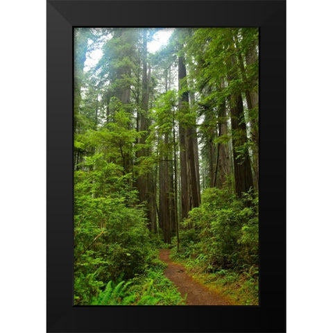 Hiking Trail II Black Modern Wood Framed Art Print by Moore, Brian