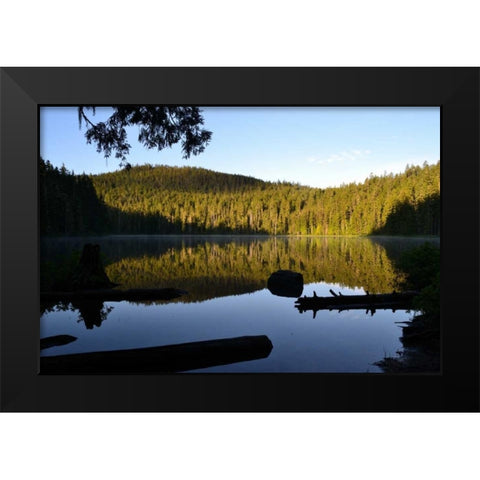 Morning at the Lake IV Black Modern Wood Framed Art Print by Moore, Brian
