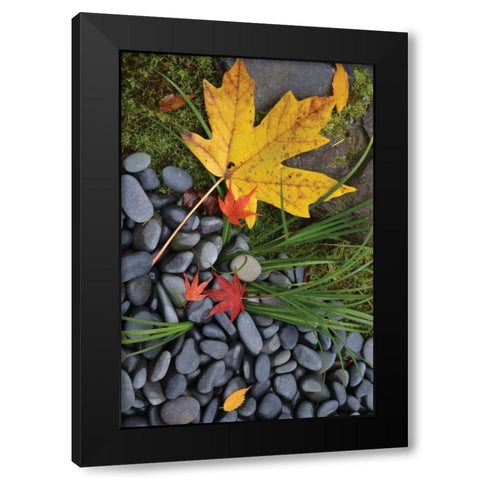 Maple Leaves II Black Modern Wood Framed Art Print by Moore, Brian