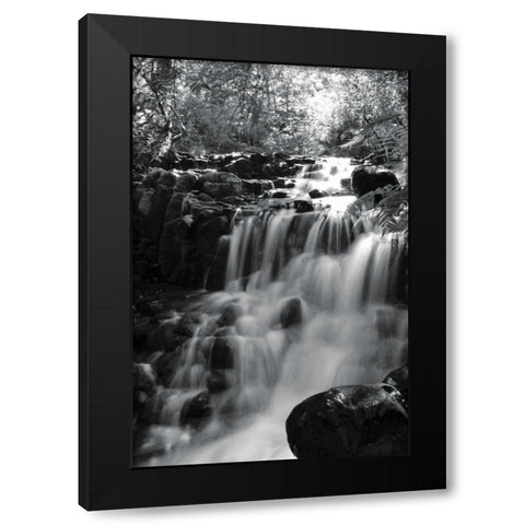 BW Falls in the Forest III Black Modern Wood Framed Art Print by Moore, Brian