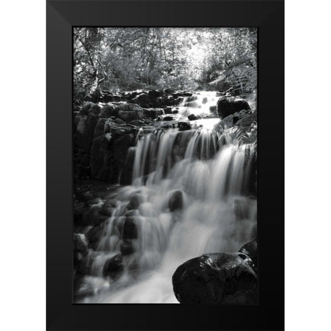 BW Falls in the Forest III Black Modern Wood Framed Art Print by Moore, Brian