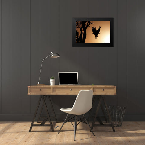 Eagle Rising Black Modern Wood Framed Art Print by Parker, Susann