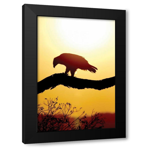 Tawny Sunrise Black Modern Wood Framed Art Print by Parker, Susann