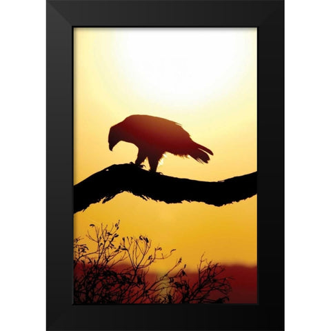 Tawny Sunrise Black Modern Wood Framed Art Print by Parker, Susann