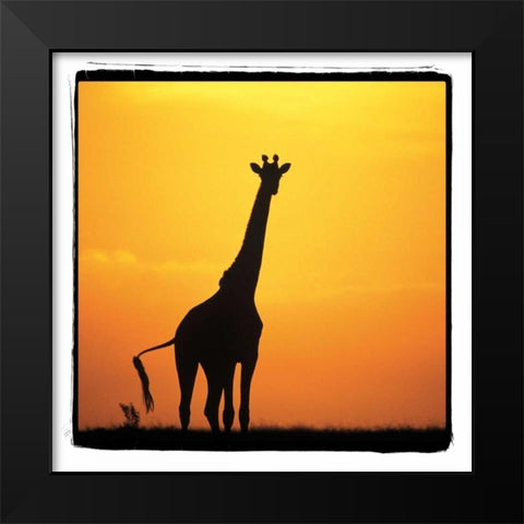 Radiant Africa I Black Modern Wood Framed Art Print by Parker, Susann