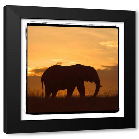 Radiant Africa II Black Modern Wood Framed Art Print by Parker, Susann