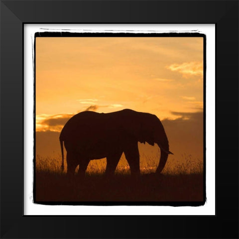 Radiant Africa II Black Modern Wood Framed Art Print by Parker, Susann