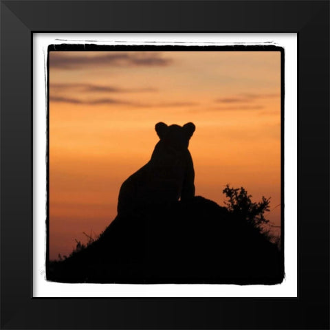 Radiant Africa III Black Modern Wood Framed Art Print by Parker, Susann