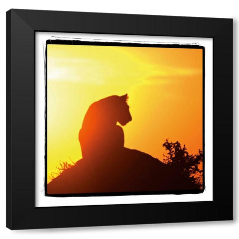 Radiant Africa IV Black Modern Wood Framed Art Print by Parker, Susann