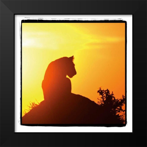 Radiant Africa IV Black Modern Wood Framed Art Print by Parker, Susann