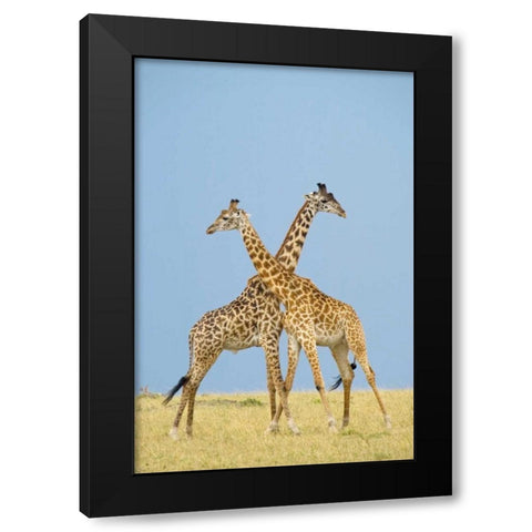 Crossed Black Modern Wood Framed Art Print with Double Matting by Parker, Susann