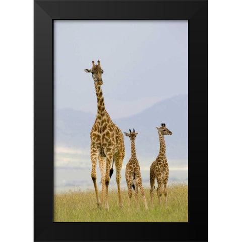 Savannah Strut Black Modern Wood Framed Art Print by Parker, Susann