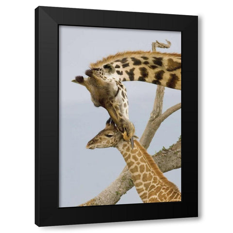 A Mothers Touch Black Modern Wood Framed Art Print with Double Matting by Parker, Susann
