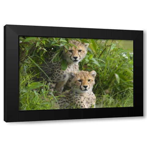 Concealed Black Modern Wood Framed Art Print with Double Matting by Parker, Susann