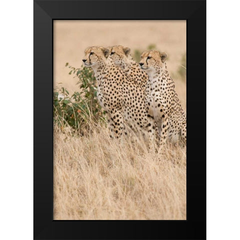 Three of a Kind Black Modern Wood Framed Art Print by Parker, Susann