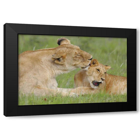 Gratitude Black Modern Wood Framed Art Print by Parker, Susann