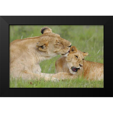 Gratitude Black Modern Wood Framed Art Print by Parker, Susann