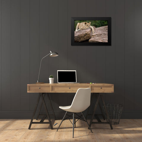 Lounging Black Modern Wood Framed Art Print by Parker, Susann