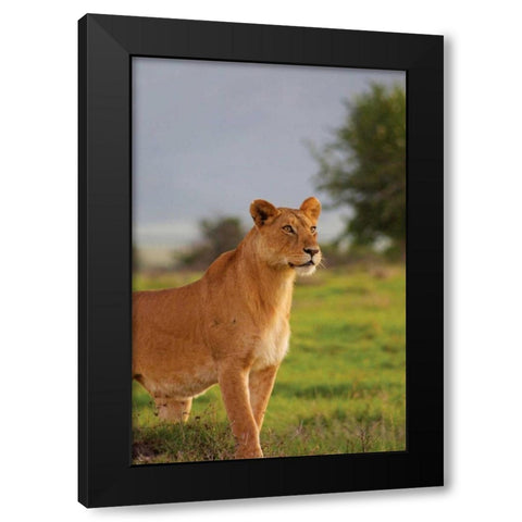 On Guard Black Modern Wood Framed Art Print by Parker, Susann