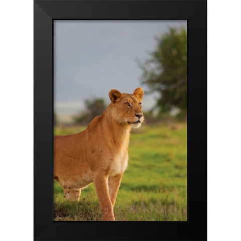 On Guard Black Modern Wood Framed Art Print by Parker, Susann