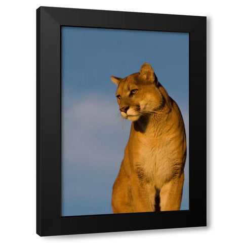 The Perfect View Black Modern Wood Framed Art Print by Parker, Susann