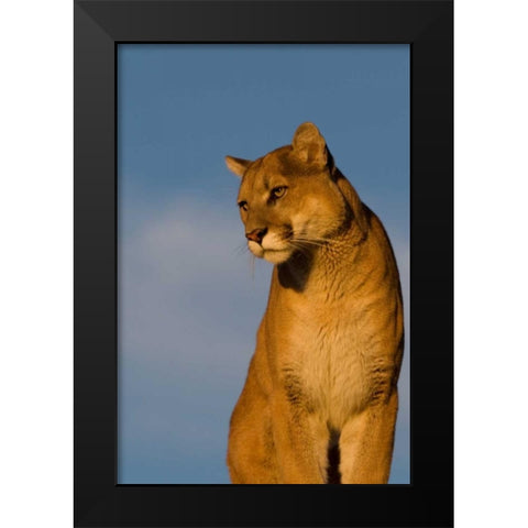 The Perfect View Black Modern Wood Framed Art Print by Parker, Susann