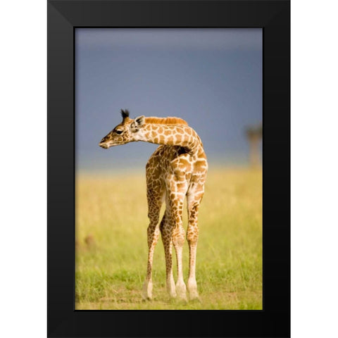 This Young One Black Modern Wood Framed Art Print by Parker, Susann