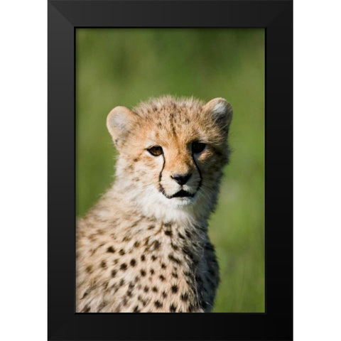 Innocence Renewed Black Modern Wood Framed Art Print by Parker, Susann