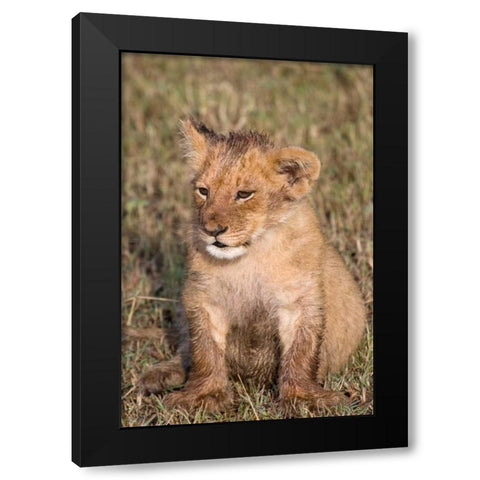 New Beginnings Black Modern Wood Framed Art Print by Parker, Susann