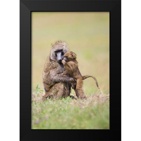 Papas Boy Black Modern Wood Framed Art Print by Parker, Susann